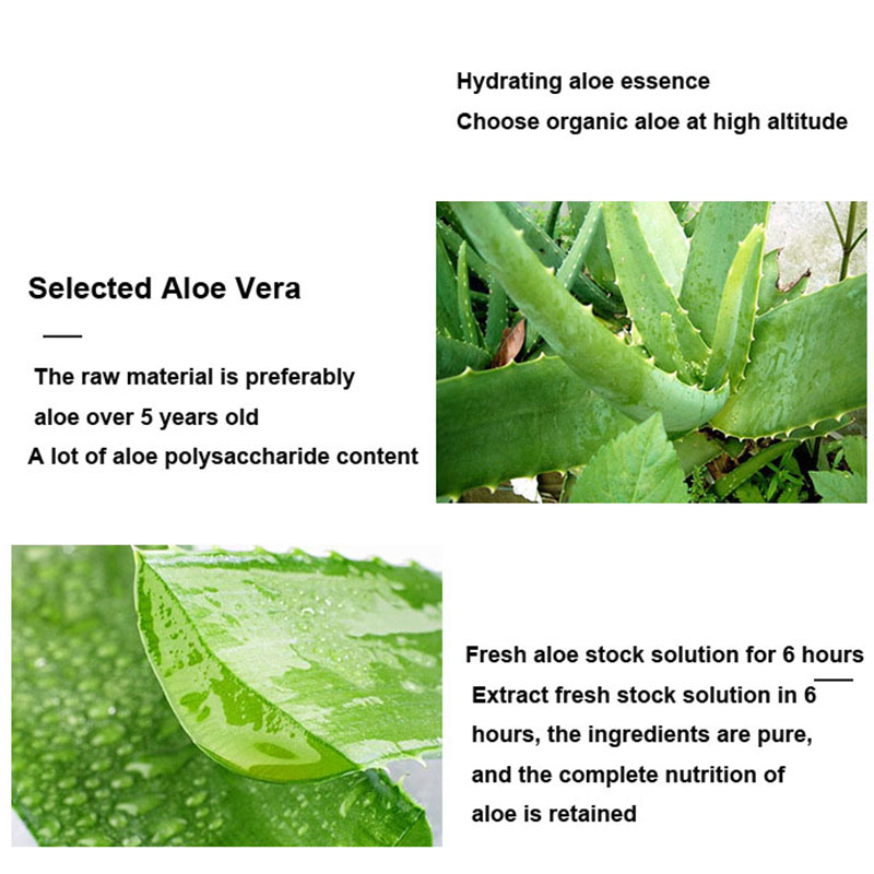 10pcs Aloe Vera Glue Sleeping  - Skincare Oily Skin ulasan dan harga
